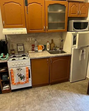 Downtown With Garden *