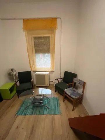 Downtown With Garden 公寓