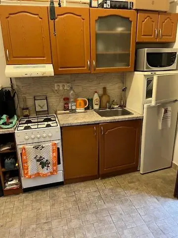 Downtown With Garden *