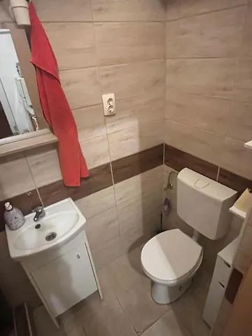 Downtown With Garden 公寓